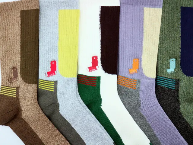 WHIMSY SOCKS 2023AW COLLECTION01
