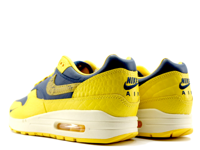 WMNS AIR MAX 1 PRM FJ5479-410 - 3