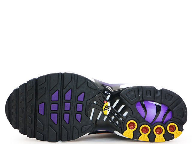 AIR MAX PLUS (GS) CD0609-024 - 5