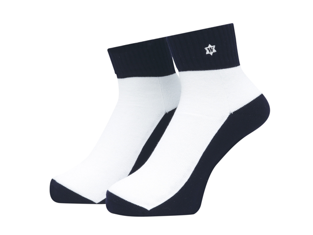 WHIMSY VERSE SOCKS