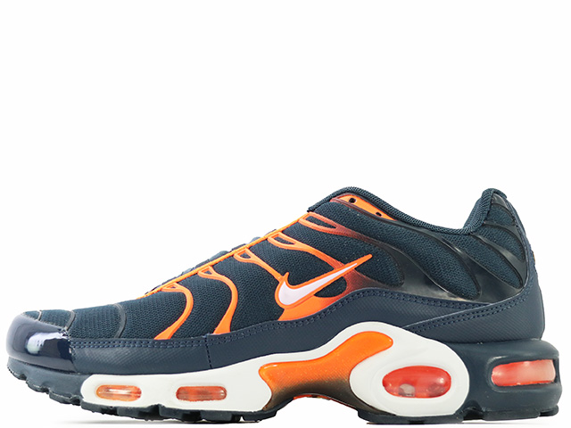 AIR MAX PLUS 852630-403