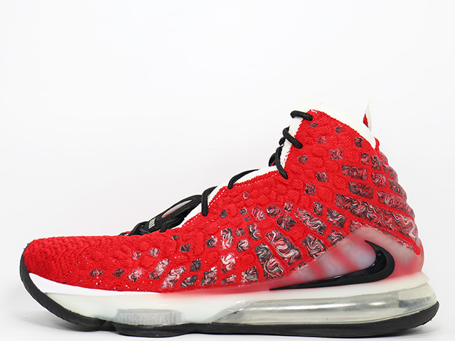 LEBRON 17