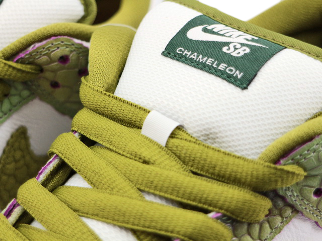 SB DUNK LOW PRO QS HJ3386-300 - 6