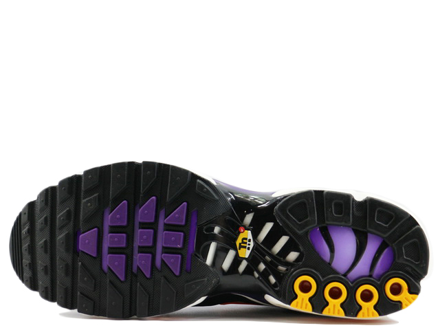 AIR MAX PLUS OG DX0755-500 - 6