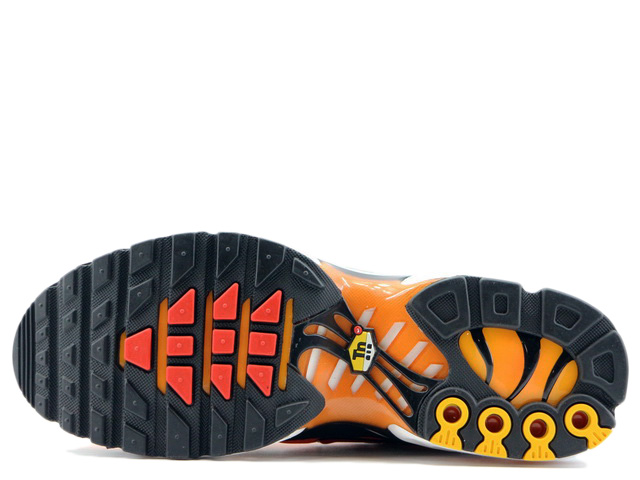 AIR MAX PLUS HF0552-001 - 6