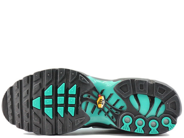 AIR MAX PLUS DM0032-401 - 6