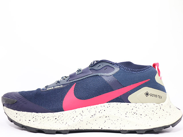 PEGASUS TRAIL 3 GTX