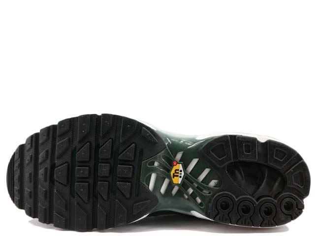 AIR MAX PLUS PRM FV6057-100 - 6