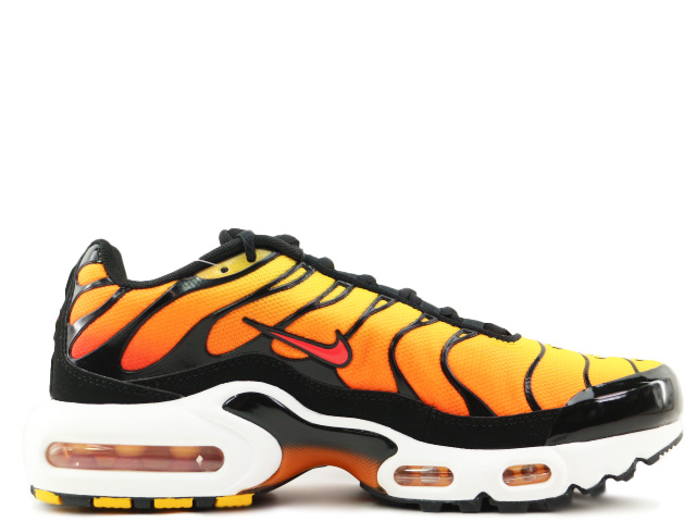 AIR MAX PLUS (GS) CD0609-029 - 1