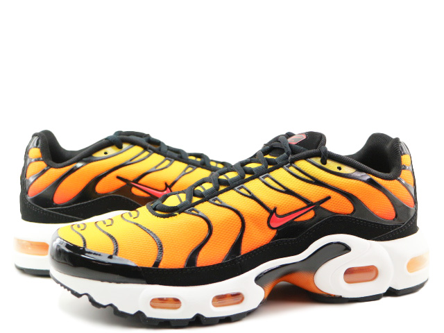 AIR MAX PLUS (GS) CD0609-029 - 2