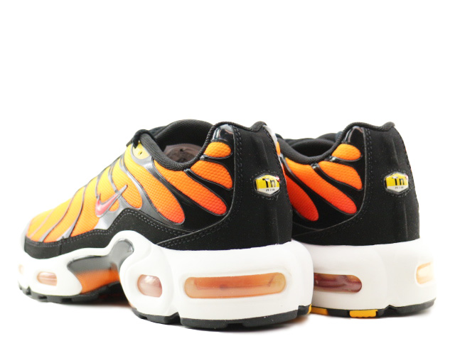 AIR MAX PLUS (GS) CD0609-029 - 3