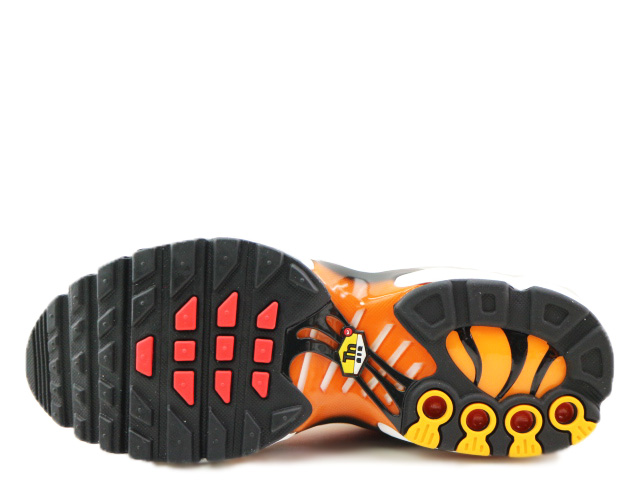AIR MAX PLUS (GS) CD0609-029 - 4