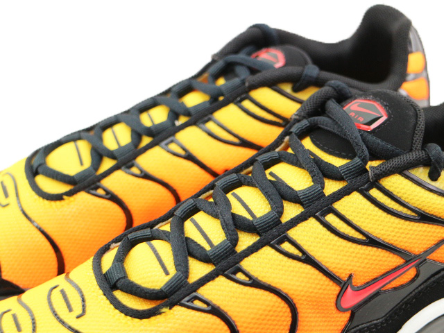 AIR MAX PLUS (GS) CD0609-029 - 5