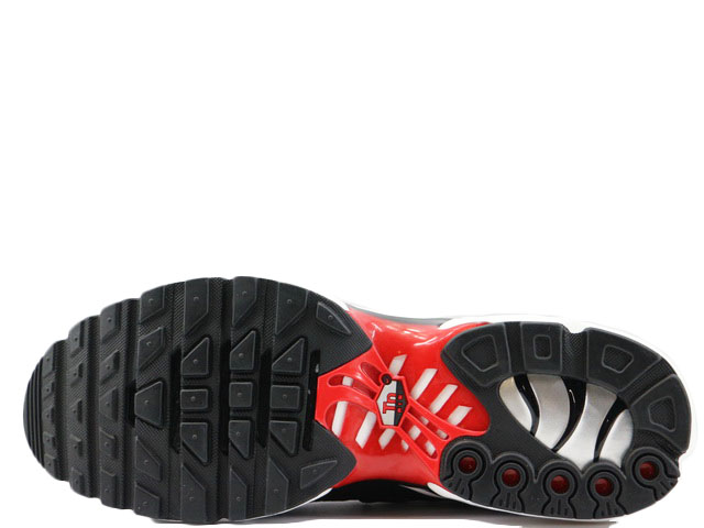 AIR MAX PLUS FN6949-002 - 6