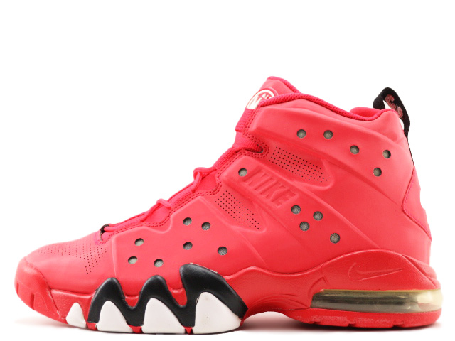 AIR MAX BARKLEY