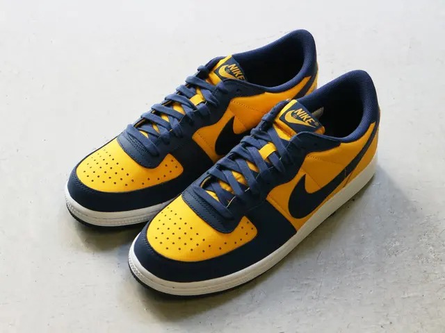 TERMINATOR LOW OG “MICHIGAN”01