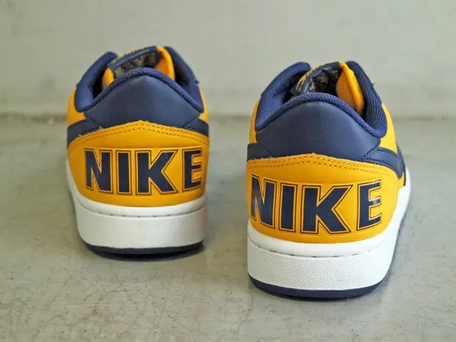 TERMINATOR LOW OG “MICHIGAN”01
