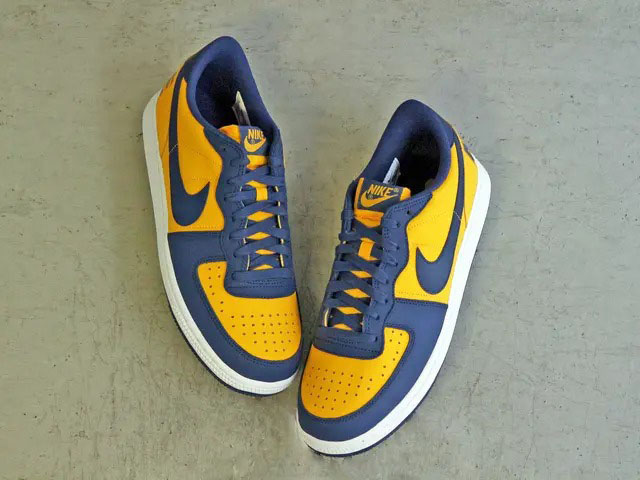 TERMINATOR LOW OG “MICHIGAN”01