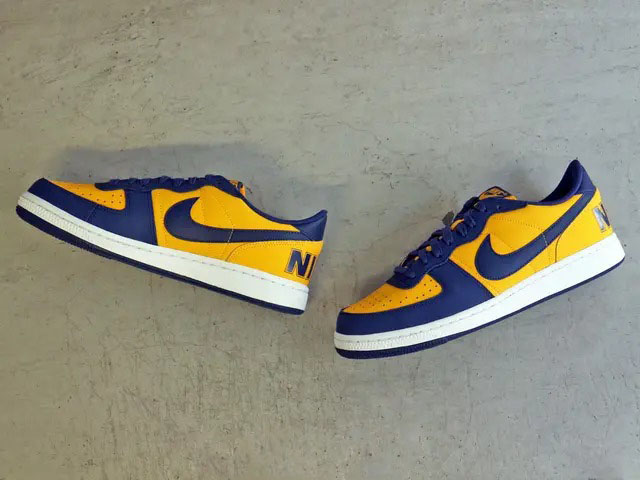 TERMINATOR LOW OG “MICHIGAN”01