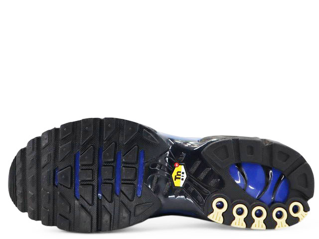 AIR MAX PLUS PREMIUM FQ7331-001 - 6