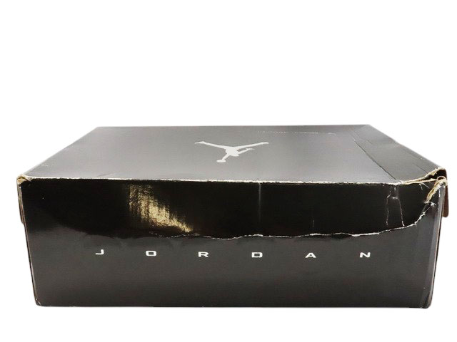 AIR JORDAN 1 XQ 316915-073 - 10