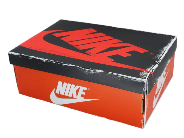 AIR JORDAN 1 RETRO HIGH OG GS FD1437-402 - 9