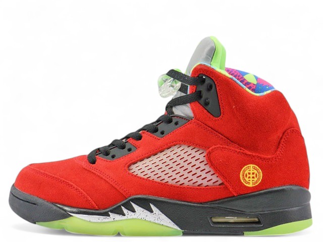 AIR JORDAN 5 RETRO SE