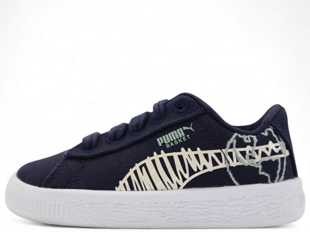 BASKET CANVAS T4C WTR