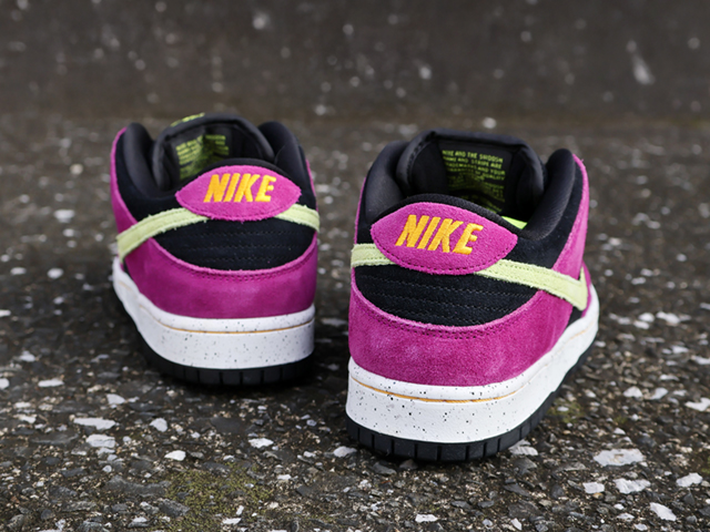 SB DUNK LOW PRO “TERRA ACG-RED PLUM”01