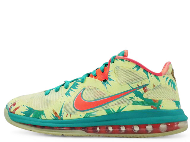 LEBRON 9 LOW