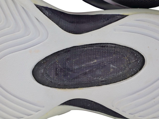 AIR ZOOM FLIGHT 95 430040-114 - 13