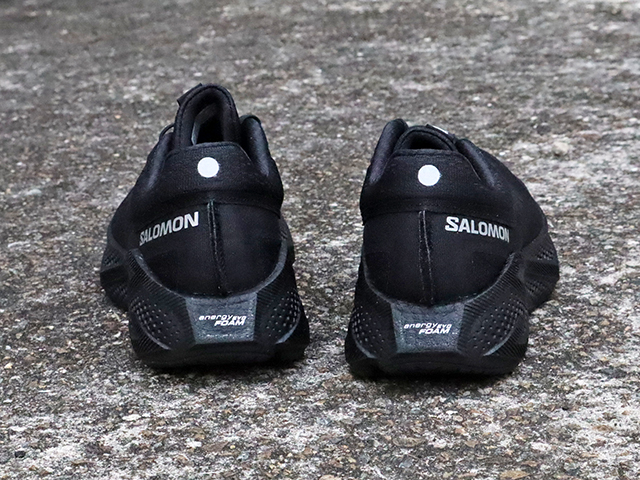 Salomon AERO GLIDE 301