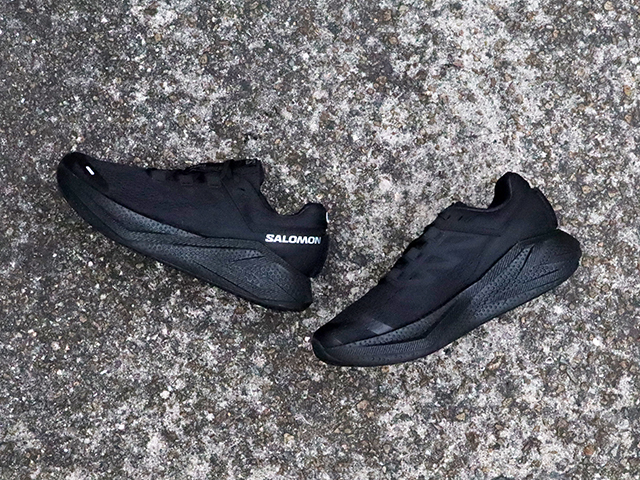 Salomon AERO GLIDE 301