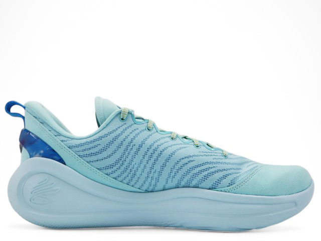 CURRY 12 PSCS 3028496-494 - 3