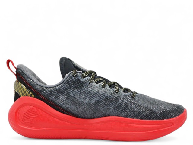 CURRY 12 LNY 6004077-001 - 3