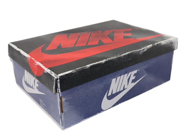 AIR JORDAN 1 RETRO HIGH OG DZ5485-100 - 7