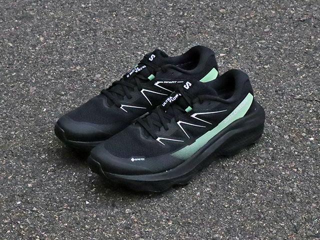 Salomon ULTRA FLOW 2 GORE-TEX01