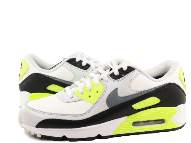 AIR MAX 90 GTX FD5810-102 - 2