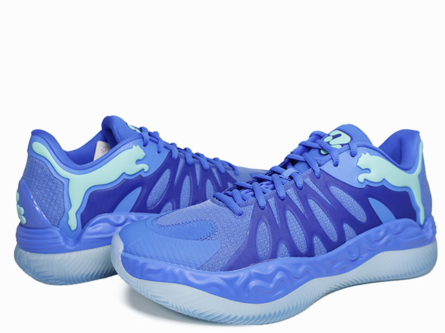 HALI 1 313450-01 - 2