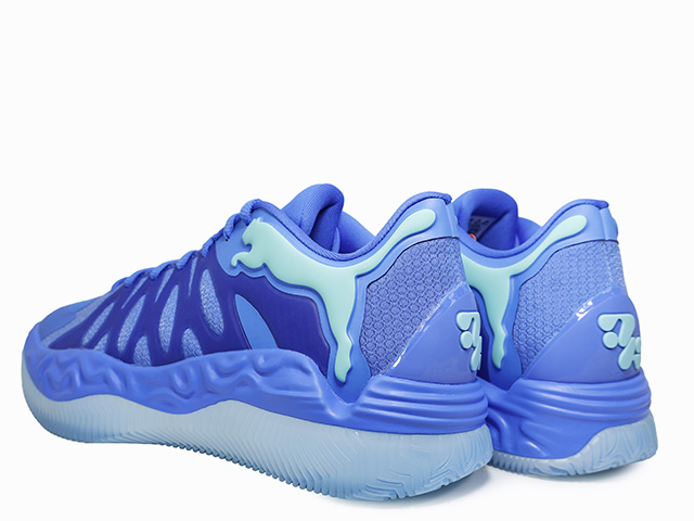 HALI 1 313450-01 - 3