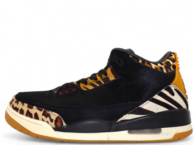 AIR JORDAN 3 RETRO SE