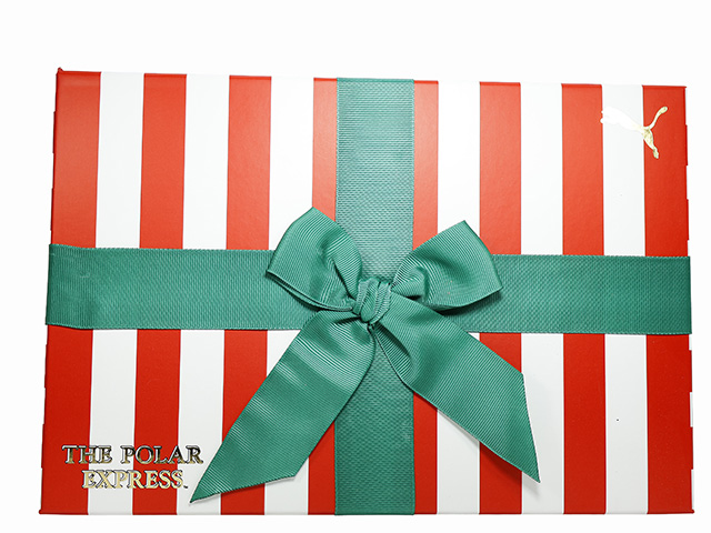 ALL-PRO NITRO POLAR EXPRESS 310396-01 - 7