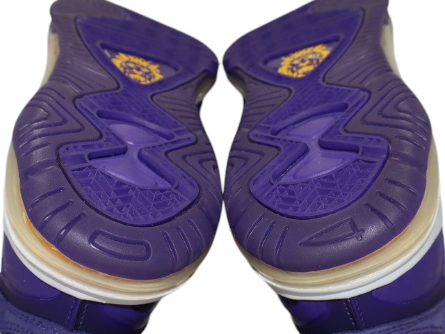 LEBRON 8 QS h-29998-6 - 6