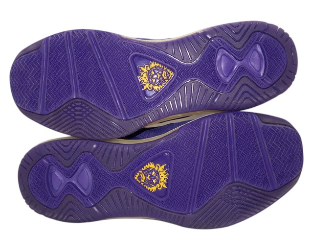 LEBRON 8 QS h-29998-6 - 7