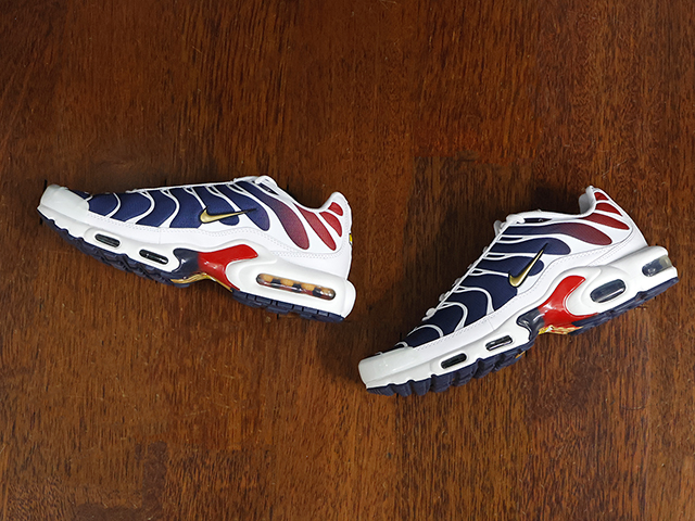 AIR MAX PLUS “PARIS SAINT-GERMAIN FC”01