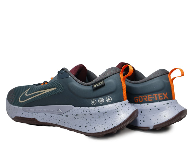 JUNIPER TRAIL 2 GTX V2 HM9734-300 - 3