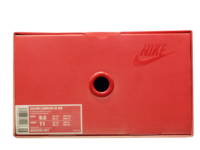 ZOOM LEBRON 3 QS AO2434-001 - 6