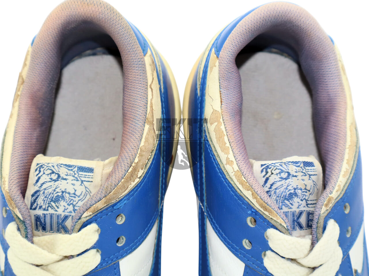 DUNK LOW h-21842-12 - 5