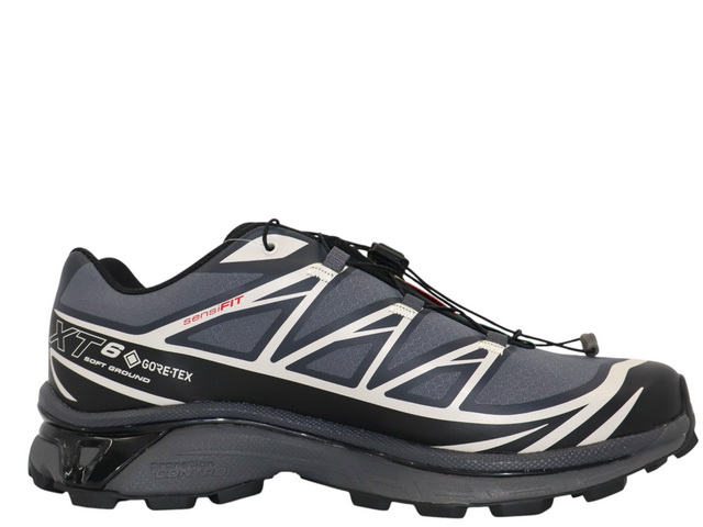 XT-6 GTX L41663500 - 1