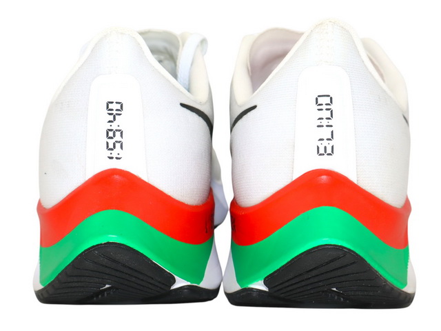 AIR ZOOM PEGASUS 37 EK h-30207-7 - 5